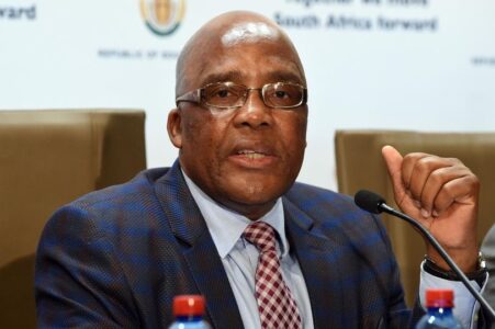Constitutional Court Dismisses Aaron Motsoaledi’s Appeal on Zimbabwean Exemption Permit Termination