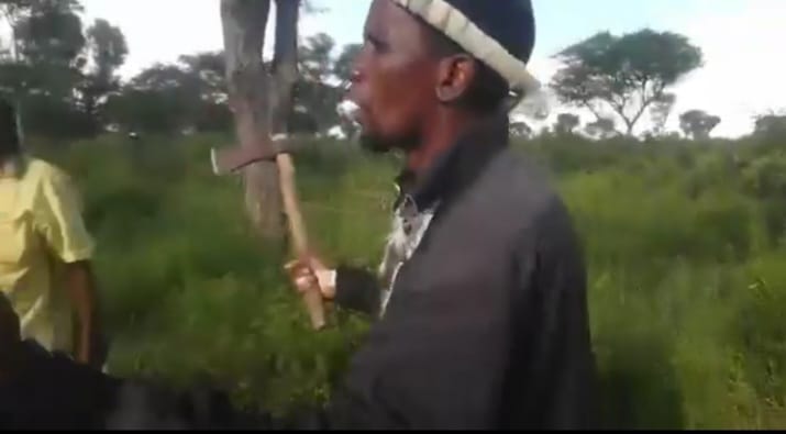 tensions shona vs ndebele